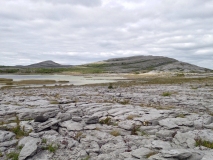 Le Burren, vastes étendues de pierres